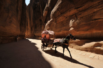 Jordanie, <br> terre de trésors légendaires